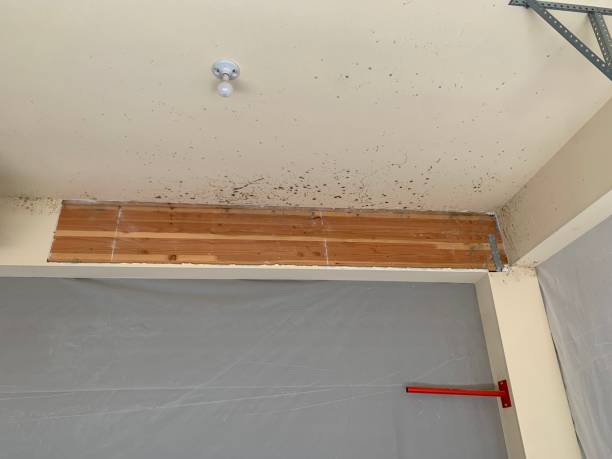 Best Residential Mold Inspection & Testing  in Raeford, NC